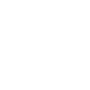 logo- ceoconst